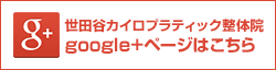 世田谷カイロプラティック整体院google+